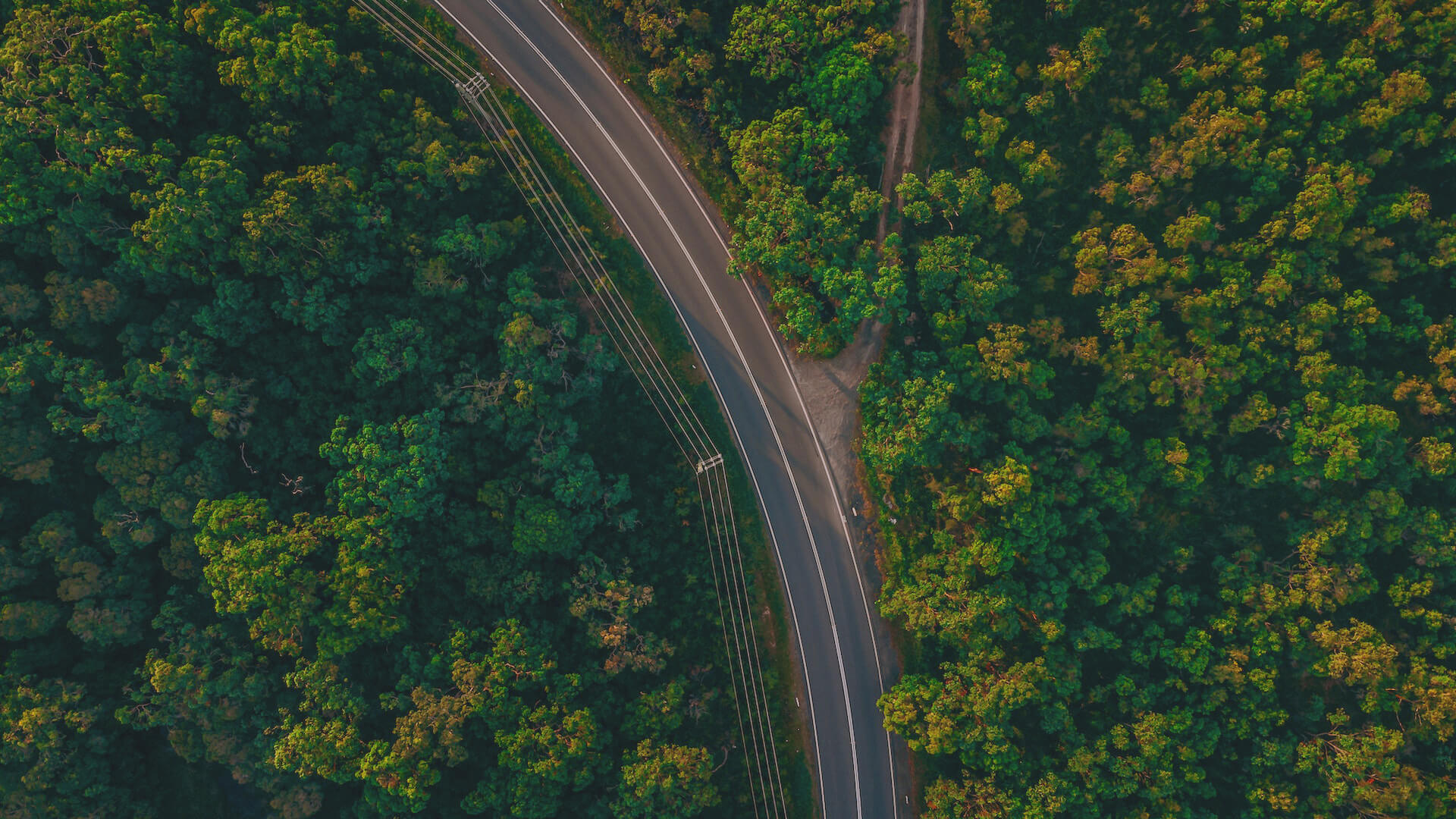 Subheader Background